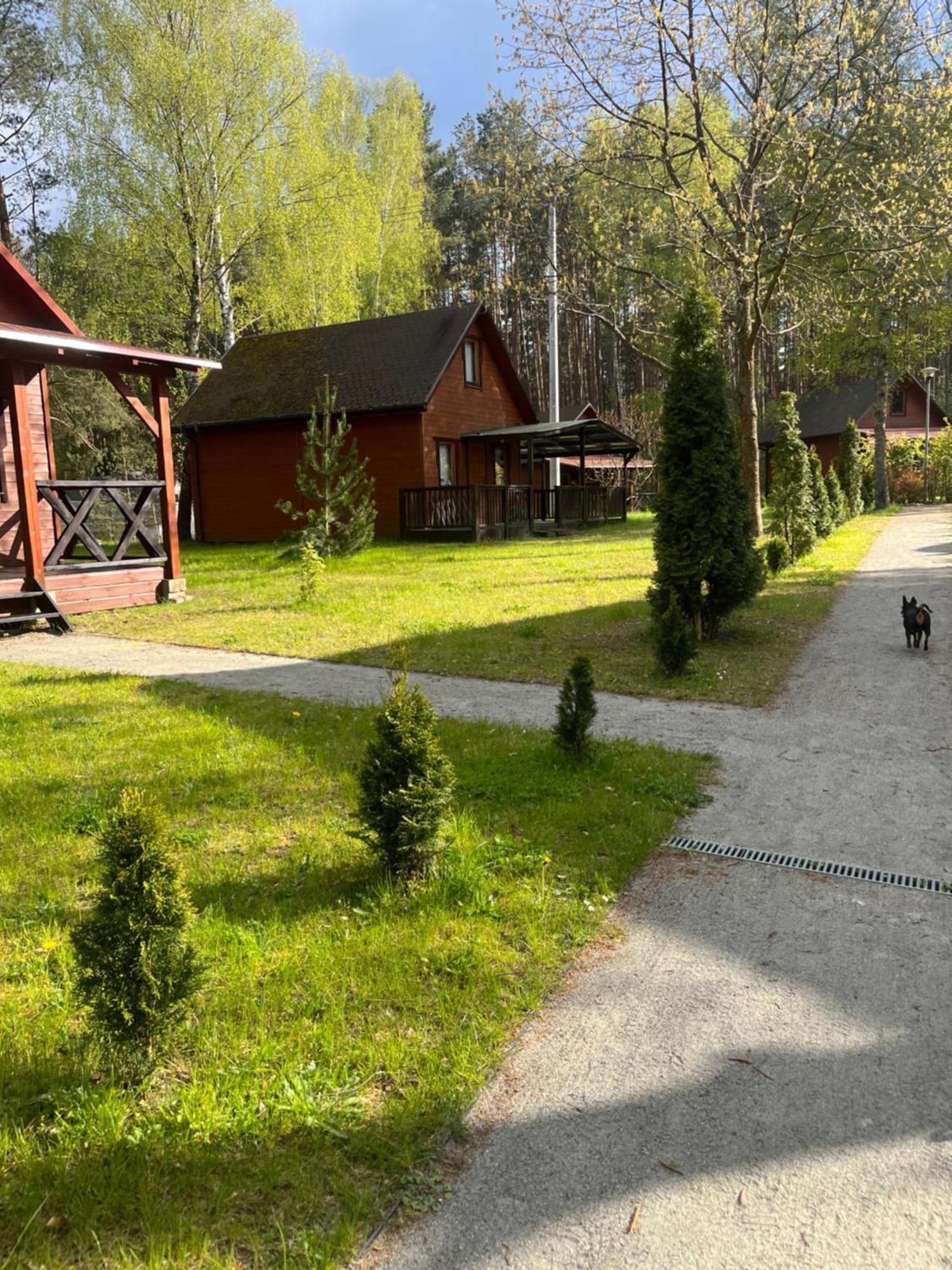 Domki Letniskowe Nad Jeziorem Kazub Cieciorka Esterno foto